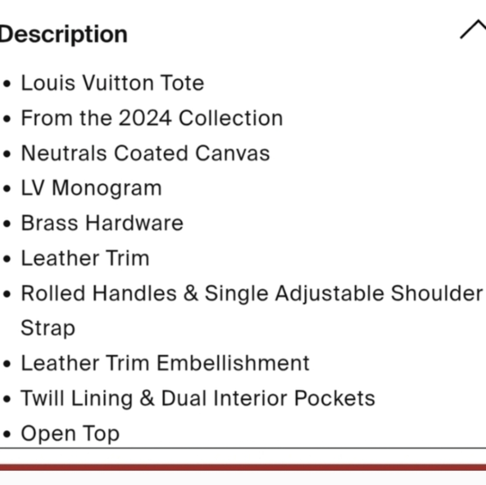 Louis Vuitton X Tyler the Creator 2024 Craggy Vanilla Sac Plat - Picture 9 of 16